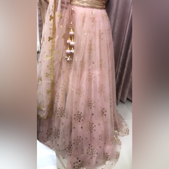 Light pink royal extremely heavy lehenga! - Picture 8 of 11